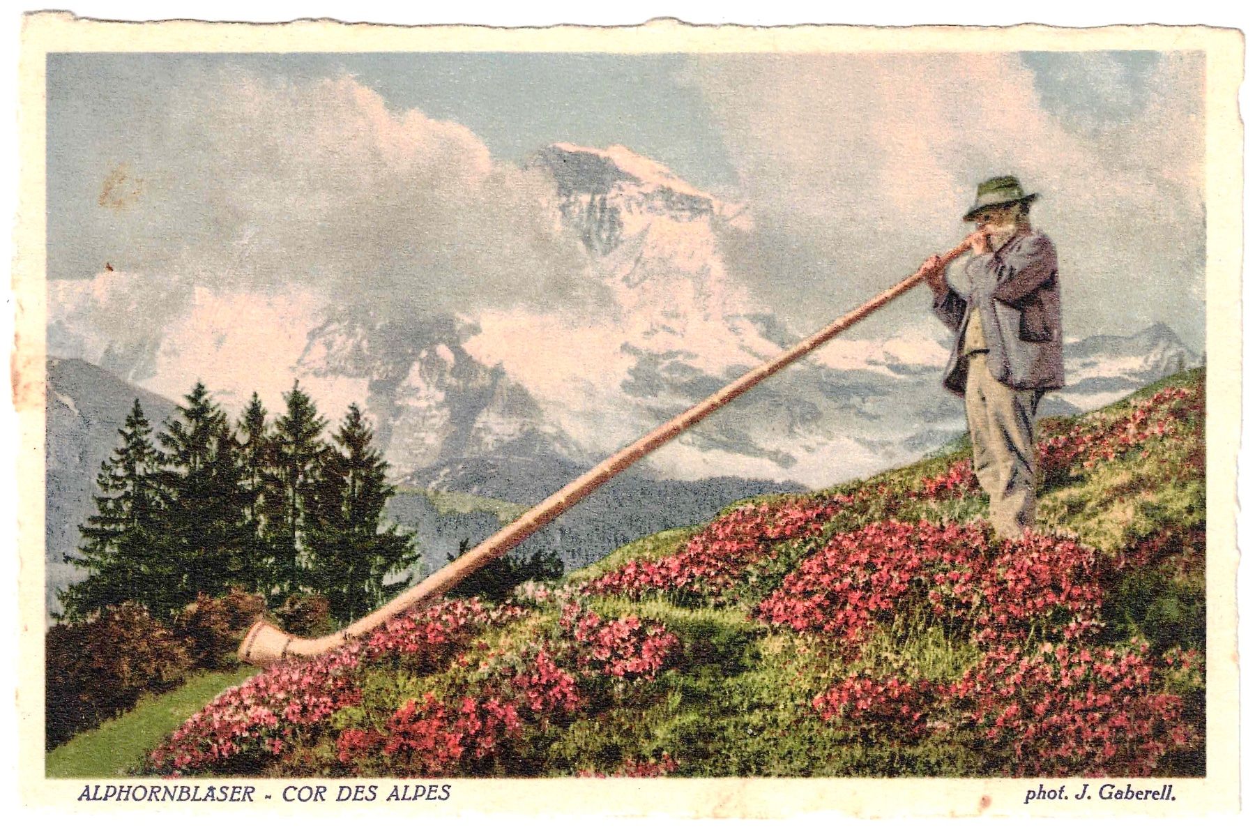ALPHORNBLÄSER in den Rosenstocken im Bernerland ca. 1930 BE Kaufen