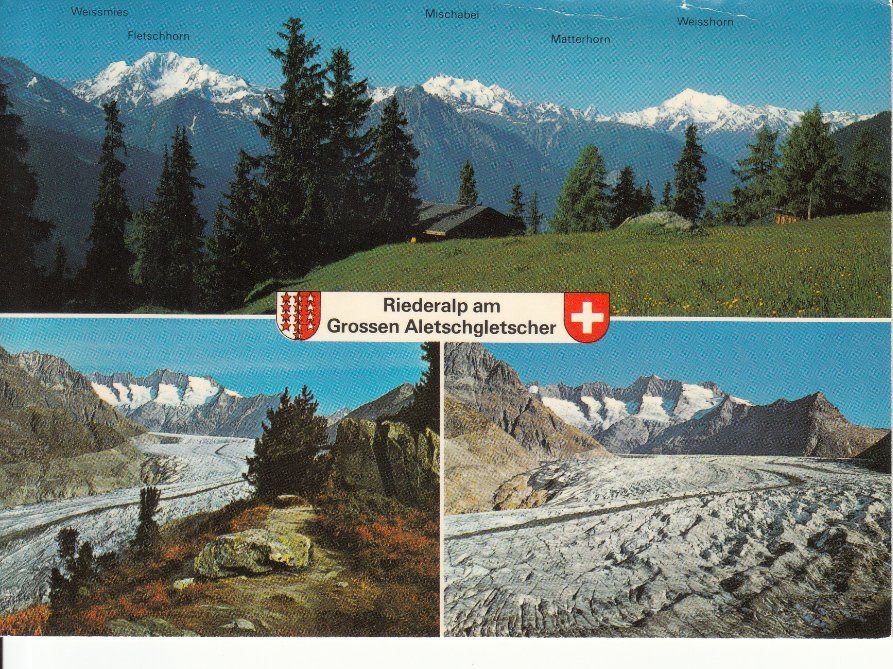 Cartoline postali: Riederalp 1983 – Usato da Bürglen TG venduto da StampGraf