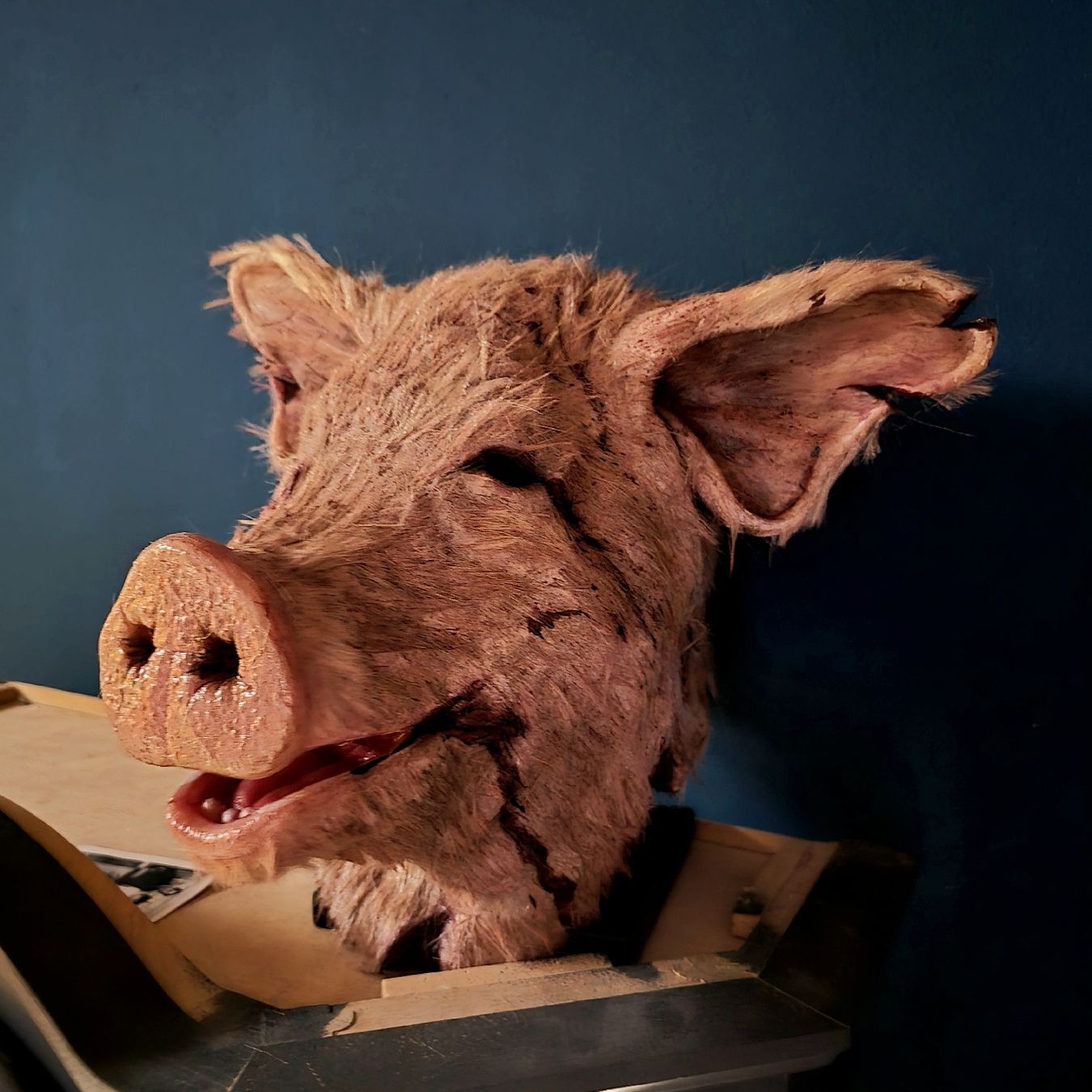 Masken: Masque de cochon – Gebraucht aus Court von Mirko_w8w5 2