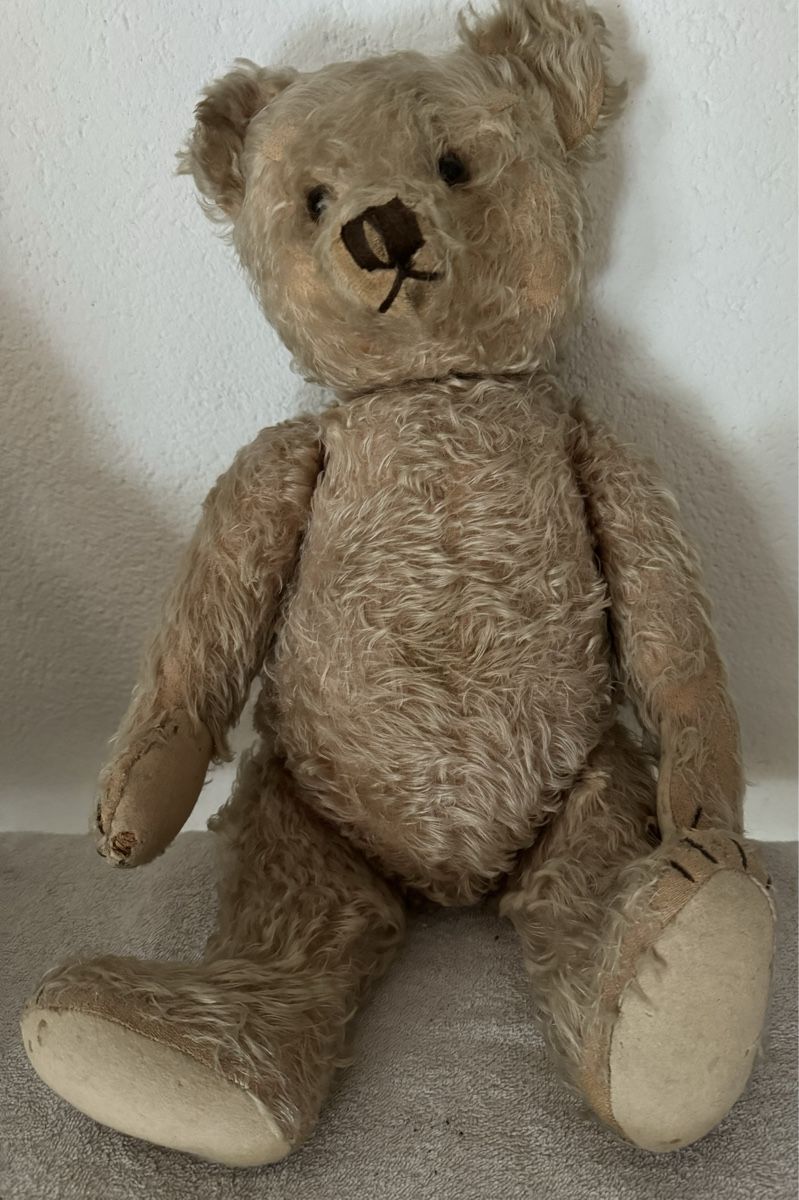Steiff Giocattoli: Steiff Teddy – Usato da Binningen venduto da kal_5nsj 1
