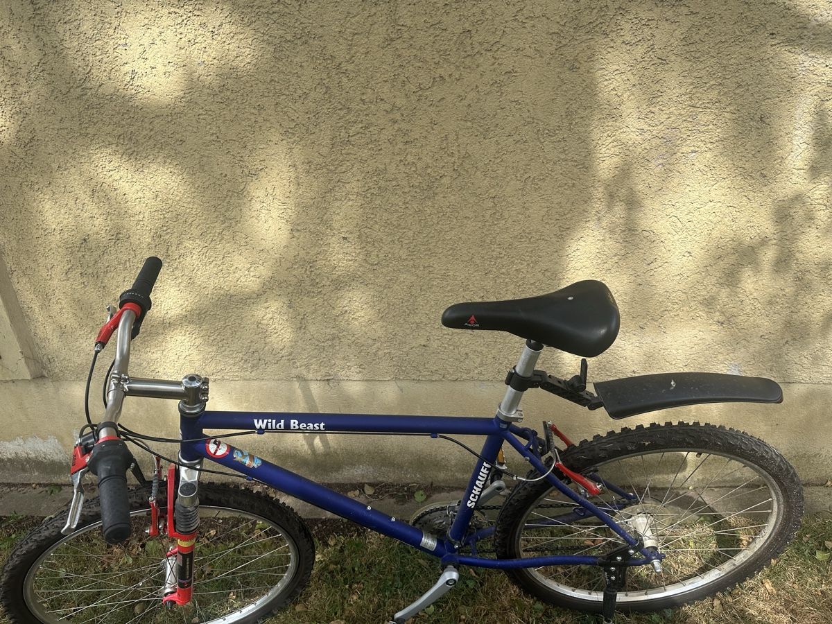 Velos: Schauff Velo  – Gebraucht aus Uster von bek_v2ct 6