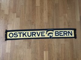 BSC Young Boys YB Ostkurve Schal