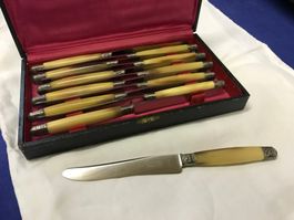 Antikes zwölfteiliges Messerset Edestahl + Horn + Silber