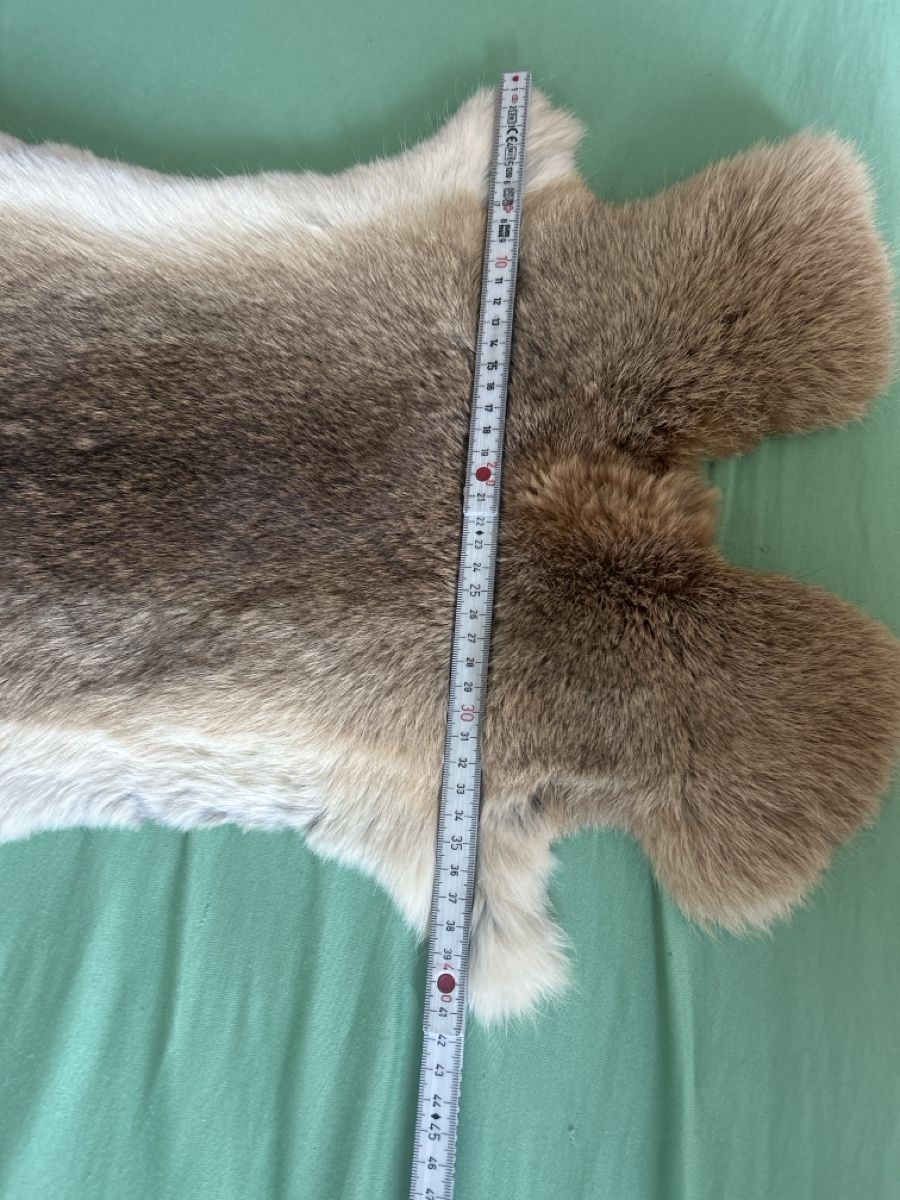 Tapis: Fellteppich Hase (I7) – D'occasion à Aarau par bro_9zsg 3