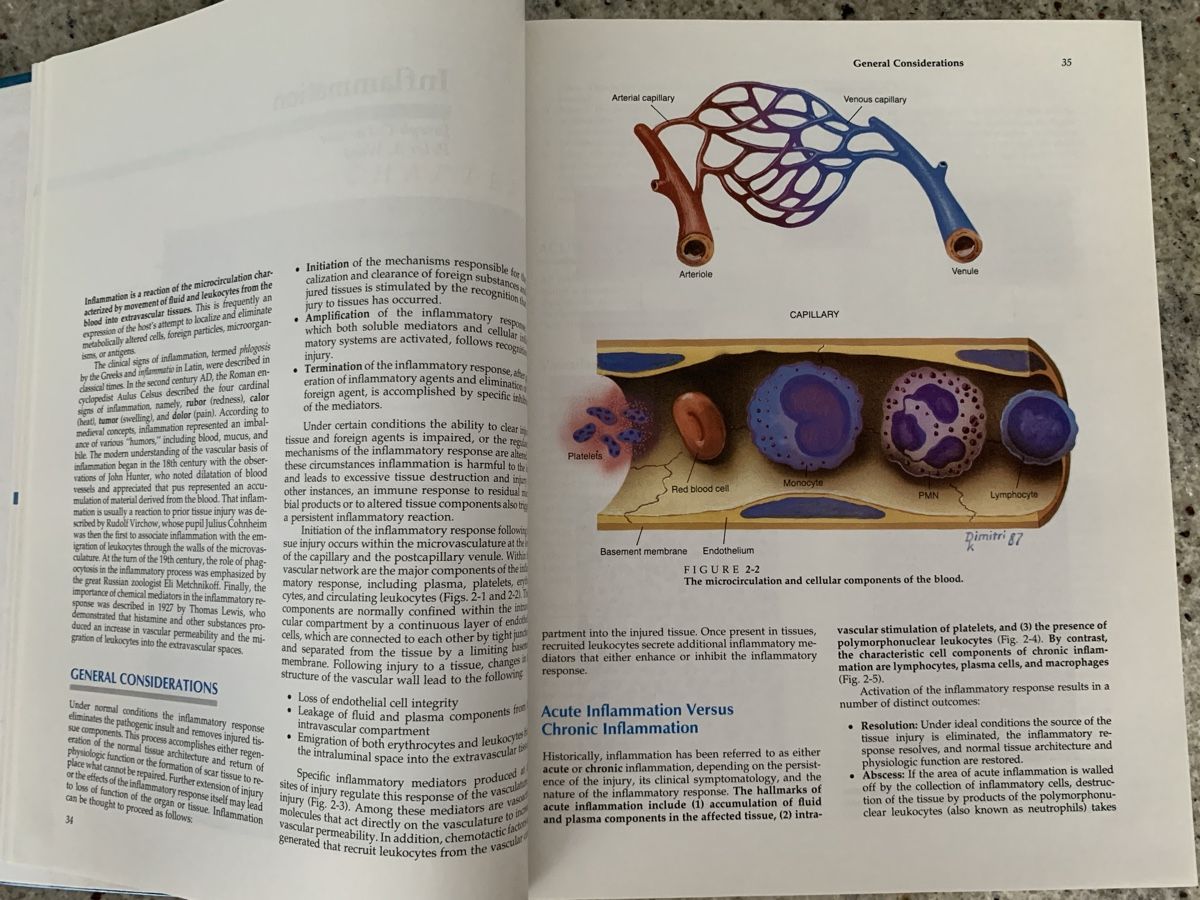 Libri: Pathology 2nd Edition Rubin & Farber Textbook – Usato da Genève venduto da sunsustains 9