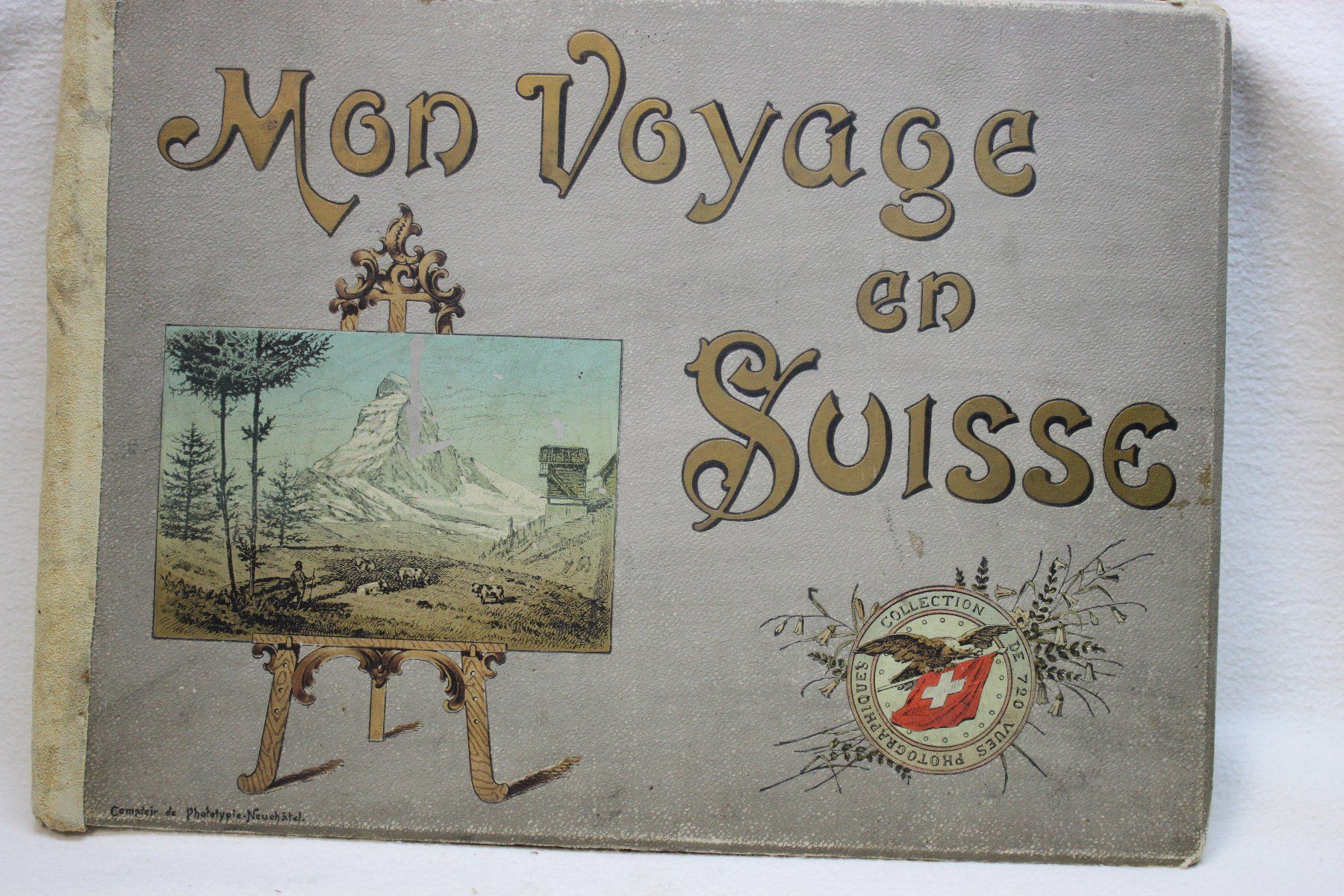 Libri: Mod Voyage en Suisse – Usato da Thun venduto da Fbchm
