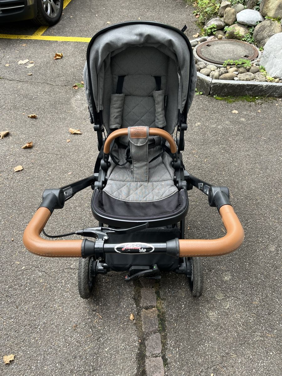 Hartan Viva GTR Kinderwagen mit Handbremse und Falttasche (Gebraucht) in  Ksnacht ZH fr CHF 199  nur Abholung auf Ricardo kaufen