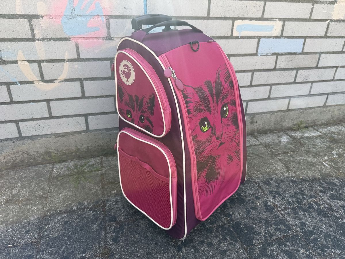 Jako-O Valigie: Jako Schrankkoffer Pink – Usato da Winterthur venduto da tanscha 2