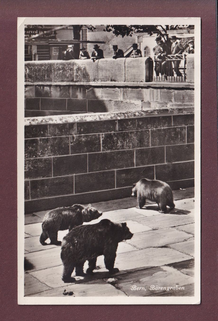 Cartoline postali: BERN - Bärengraben - 1933 – Usato da Pully venduto da nicecards