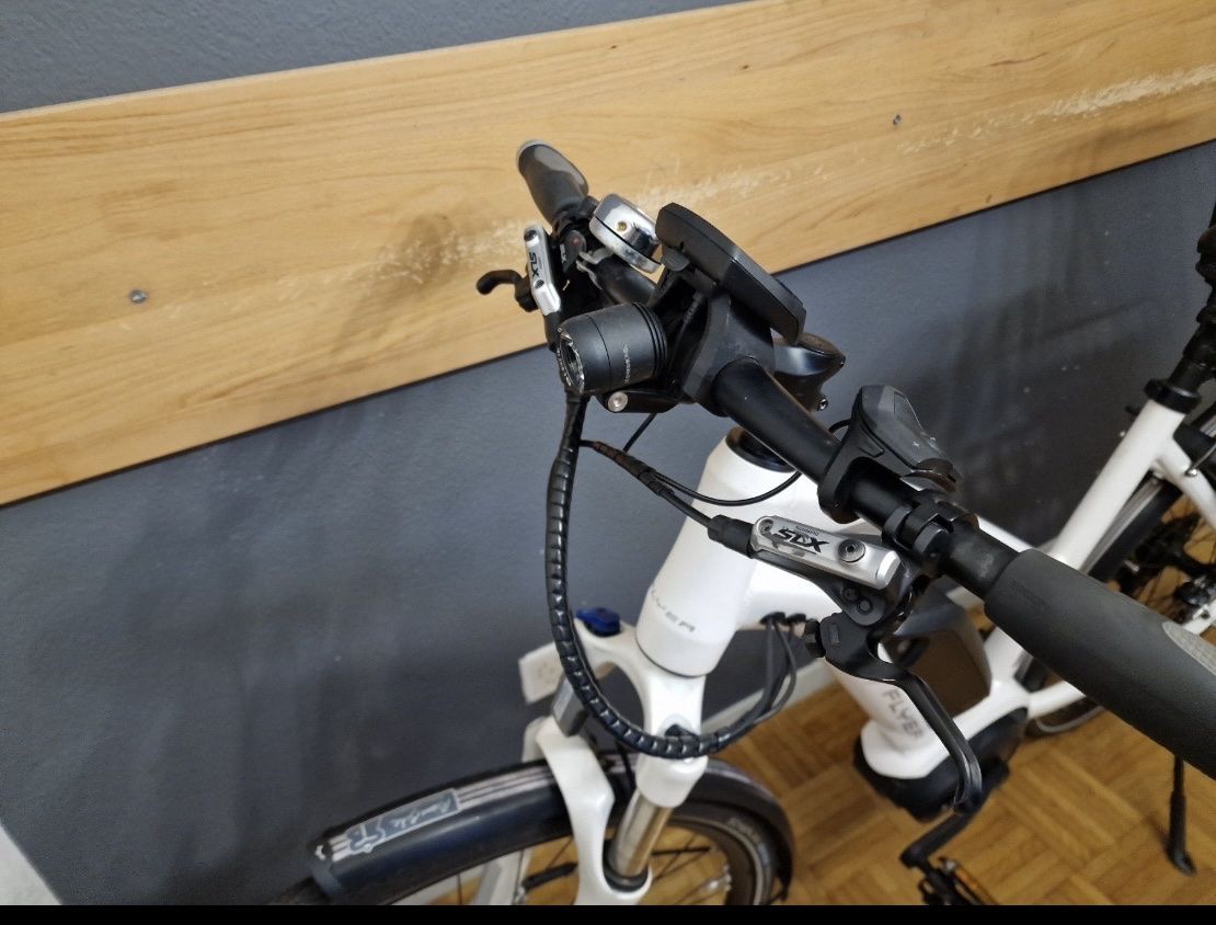 Flyer Biciclette: Flyer E-Bike 45- km/h – Usato da Chur venduto da spicebone 1