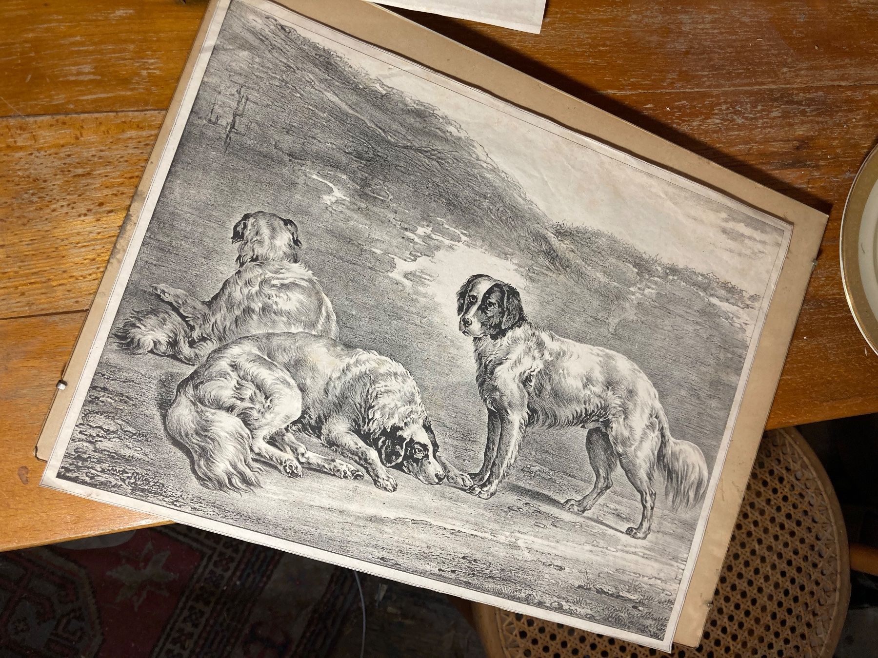 Grafica & Litografie: chiens hund lithos antik – Usato da St-Cierges venduto da LeRegain 1