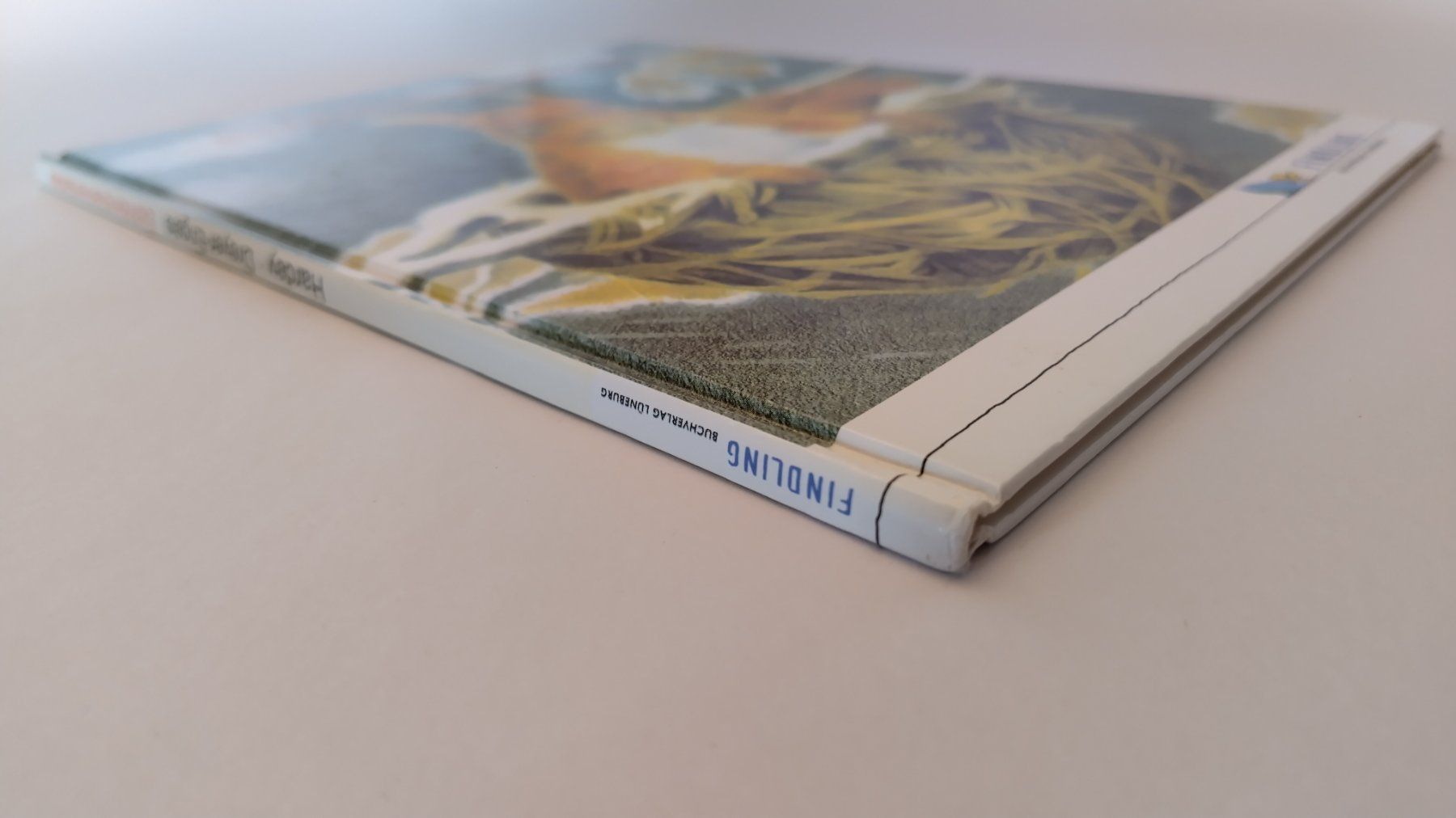 Libri: Eichhörnchenverstecke / Eichhörnchen Bilderbuch ab Fr. 8.- – Usato da Bellach venduto da JingleJerry 1