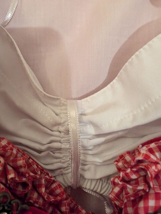 Costumi: Dirndl Krüger Almsach Gr. 34/36 rot weiss  top Zustand – Usato da Winterthur venduto da blubb_ 1