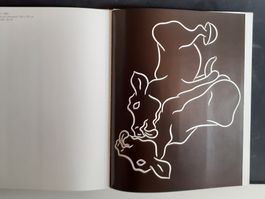 Aldo Walker/Die Mehrsinnigkeit der klaren Gestalt  Biennale