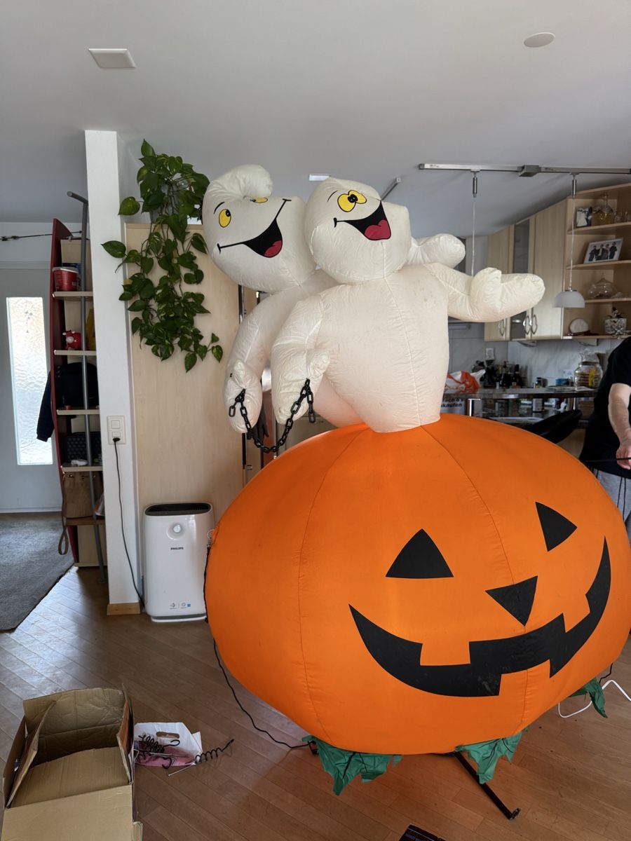 Tutte le decorazioni: Aufblasbare Halloween Deko – Usato da Widen venduto da Carnevale 1