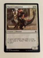 1 x Raptor Companion - Magic: The Gathering - MtG