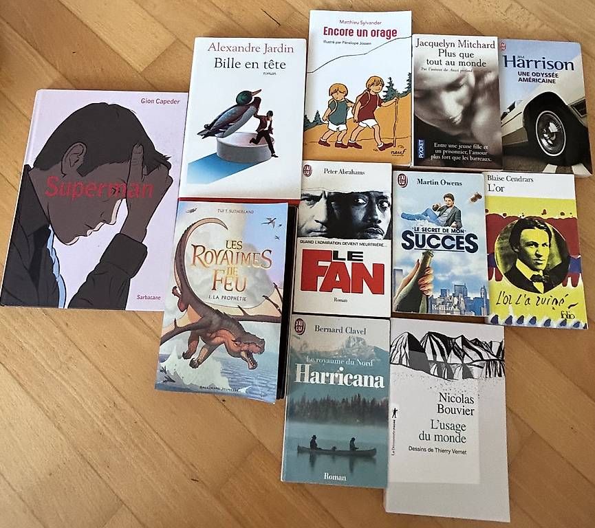 Bücher: Lot de 5-6, Divers romans  – Gebraucht aus Avry-sur-Matran von aur_c2nb 3