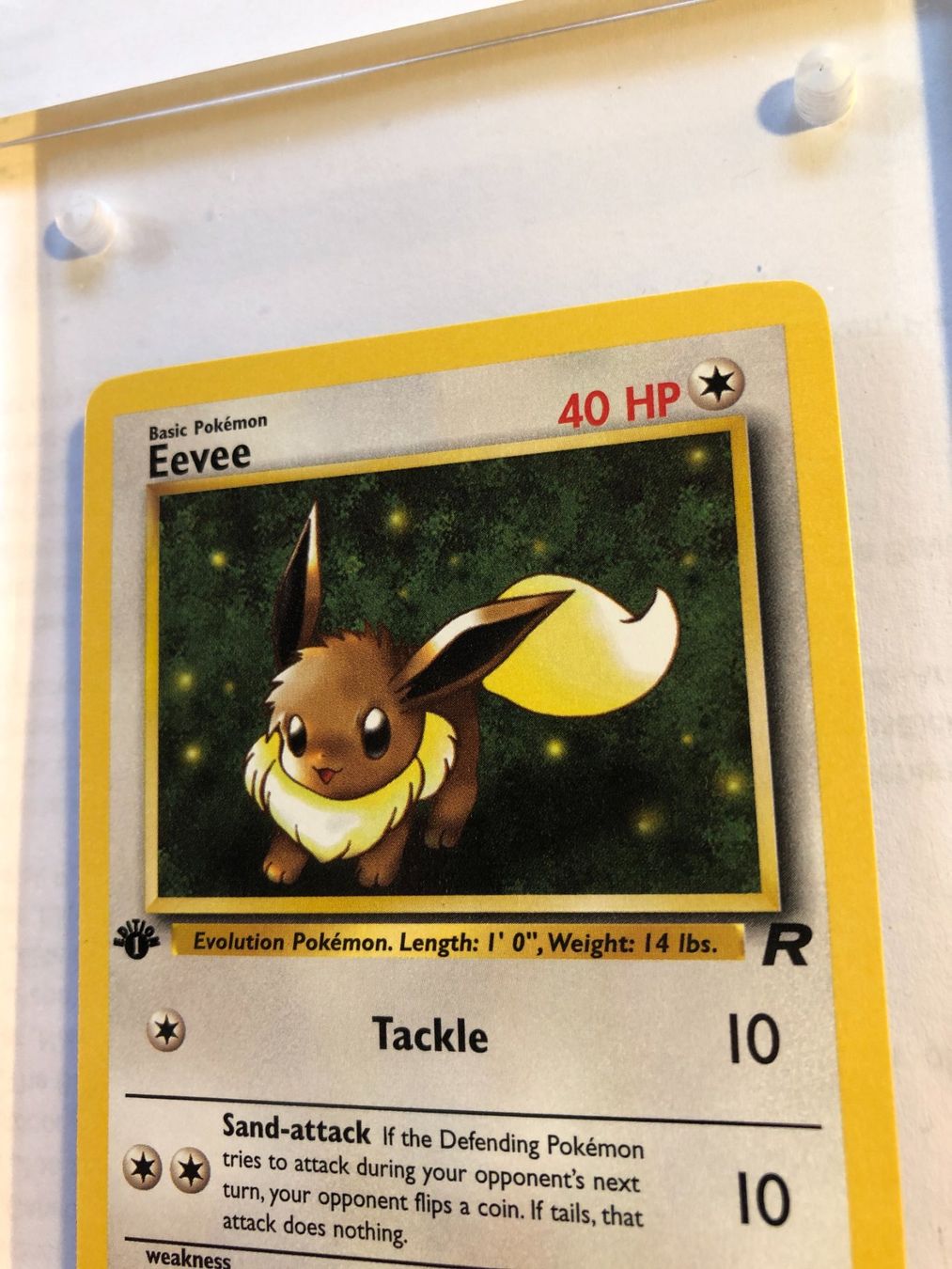 Carte collezionabili: Eevee 1st Team Rocket - MINT - ab 1.- – Usato da Giubiasco venduto da dan_pr8b 3