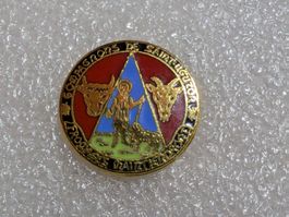 Ansteckpin 254: