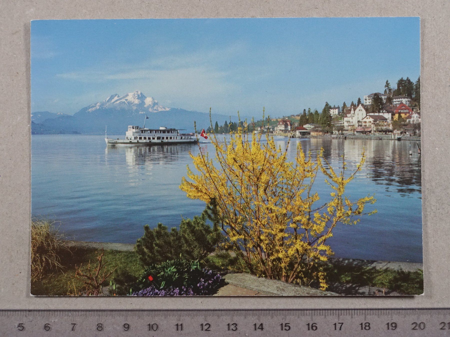 Cartoline postali: Weggis, Pilatus, Schiff, 1983 – Usato da Lenzburg venduto da fh1