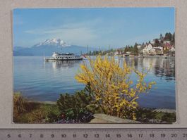 Weggis, Pilatus, Schiff, 1983