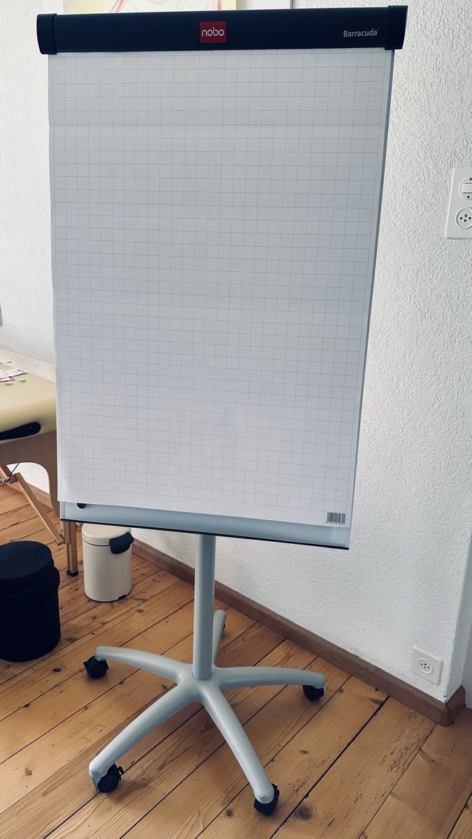 Staffeleien: Flipchart mit Rollen, Marke nobo Barracuda – Gebraucht aus Herrliberg von Fips71