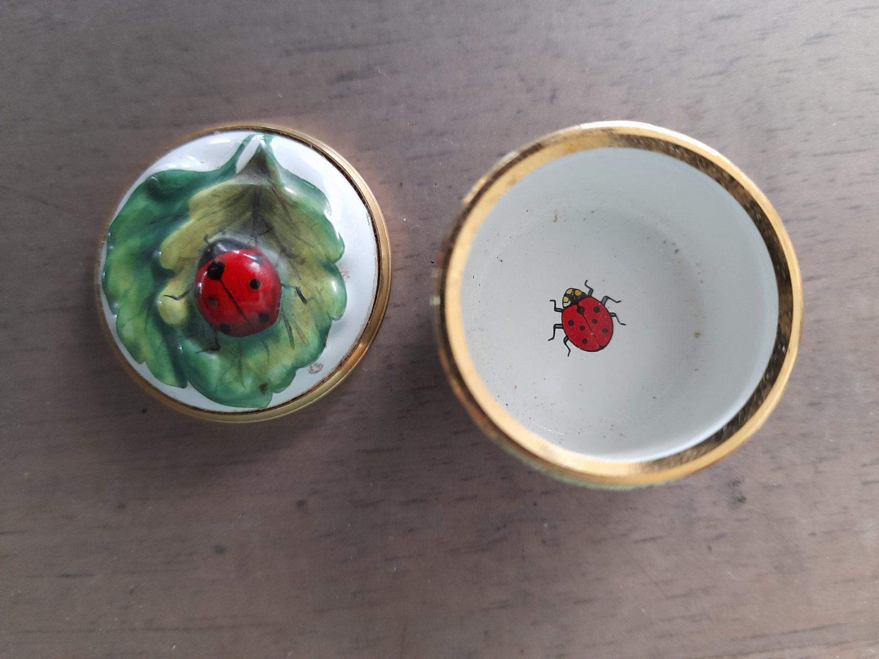 Alle Dekorationen: Miniaturdösli Emaille mit Marienkäfer und Blatt – Gebraucht aus Männedorf von Igel24