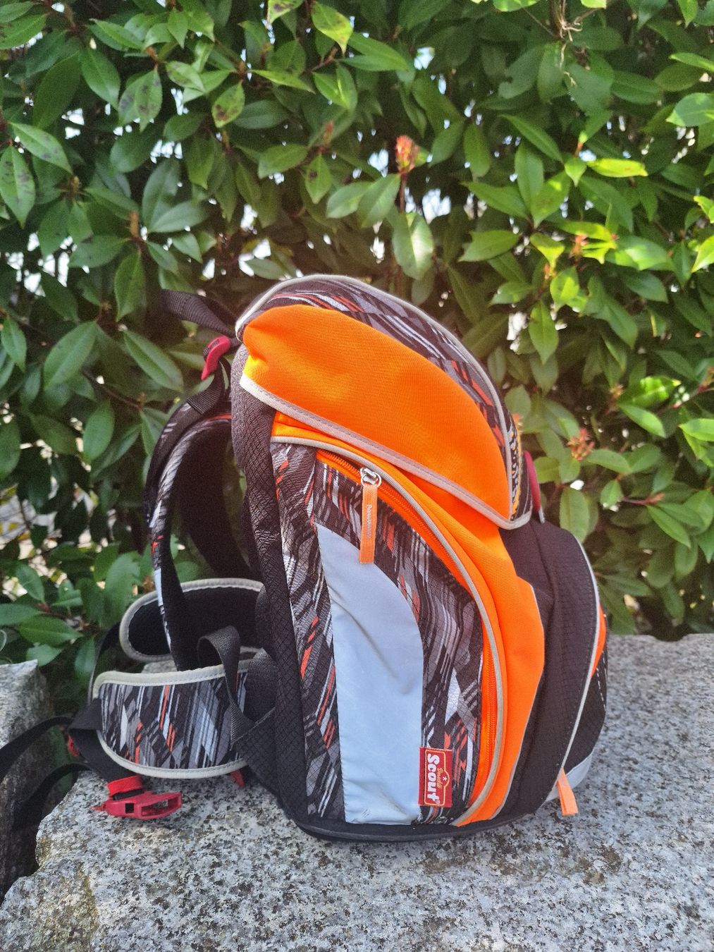 Borse & Zaini: Scout Schulrucksack – Usato da Selzach venduto da Stony17 1