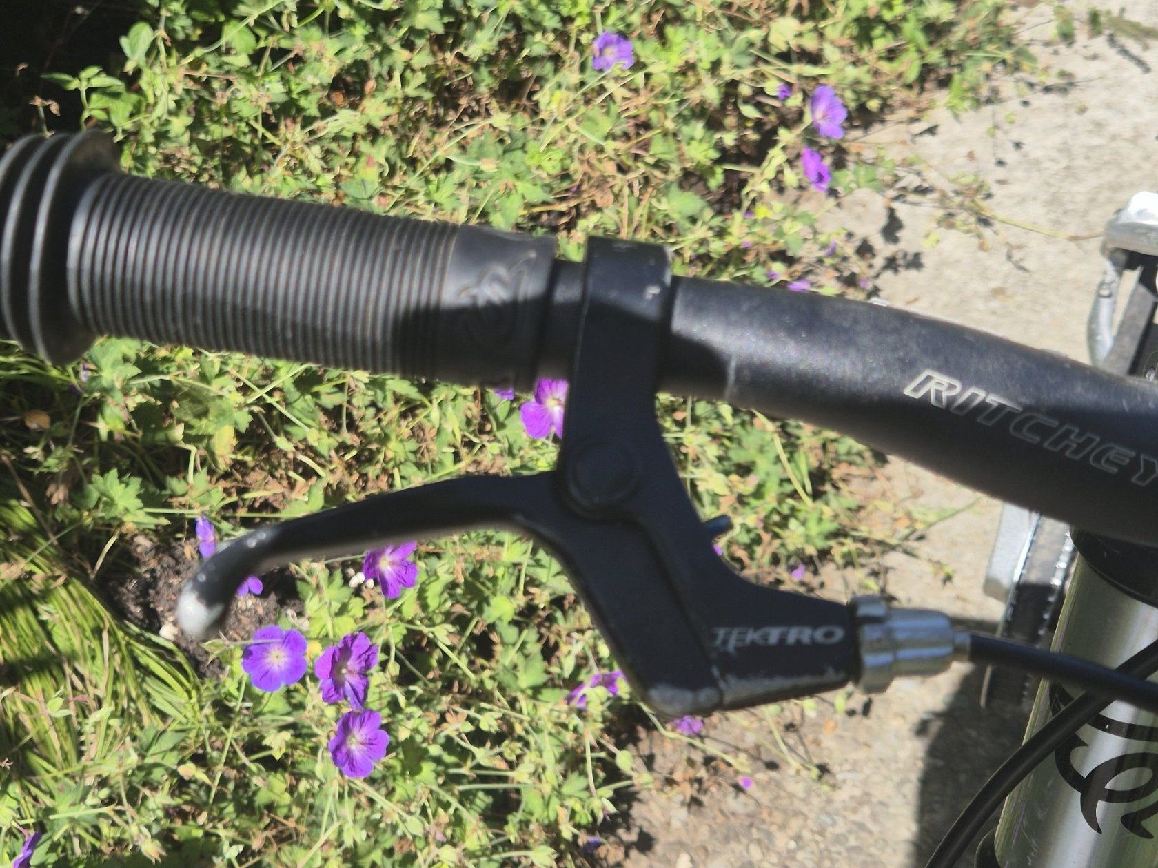 Early Rider Velos: Early Rider Urban 16 – Gebraucht aus Rapperswil SG von mariolusti 4