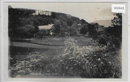 Mont-Pelerin - L'Haut Bozon