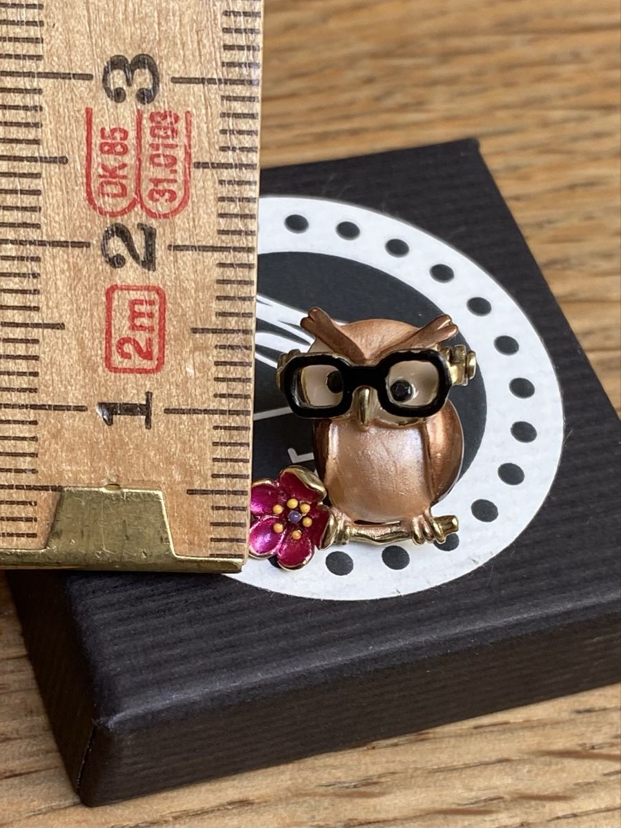Ohrringe & -stecker: Suesse Ohrstecker Eule mit Brille, Modeschmuck, Neuwertig – Gebraucht aus Thalwil von Alice015 4