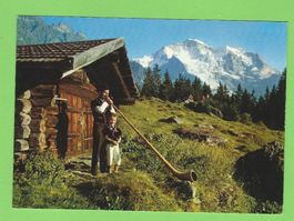 Wengen Alphornbläser