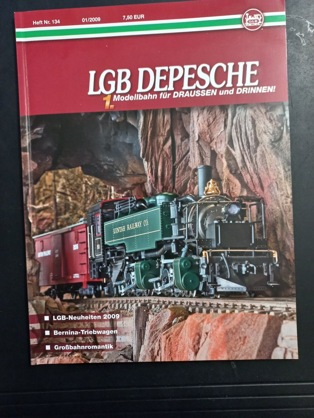 Riviste & Magazine: LGB Depesche Nr. 134 01/2009 – Usato da Erlenbach ZH venduto da isicomp2011