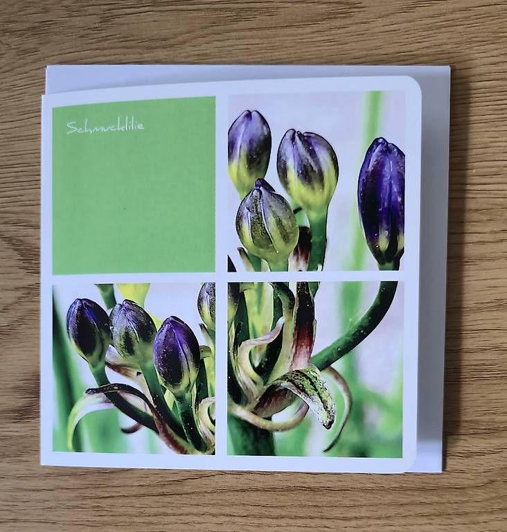 CDs: Collagekarte Schmucklilie – Neu und originalverpackt aus Chur von Frei3912 1