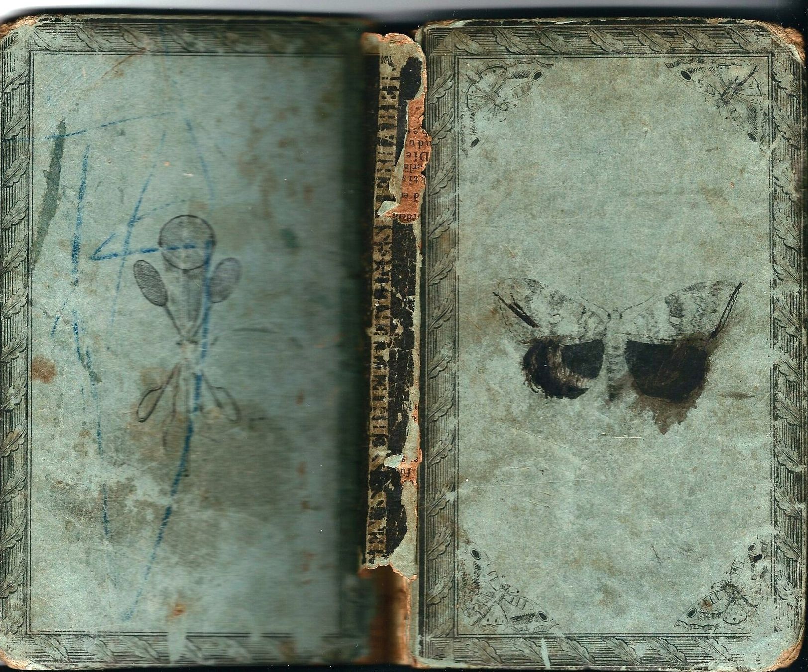 Libri: Schmetterling Buch von 1827 – Usato da Chambesy venduto da Mfluc714 6