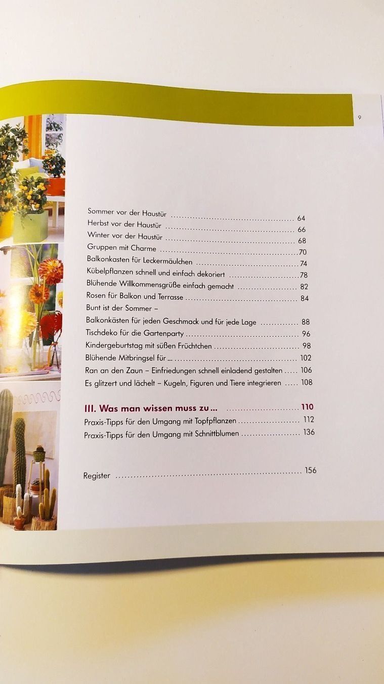 Libri: Dekorieren mit Blumen – Nuovo (secondo la descrizione) da Adlikon b. Andelfingen venduto da IlonaSp 3