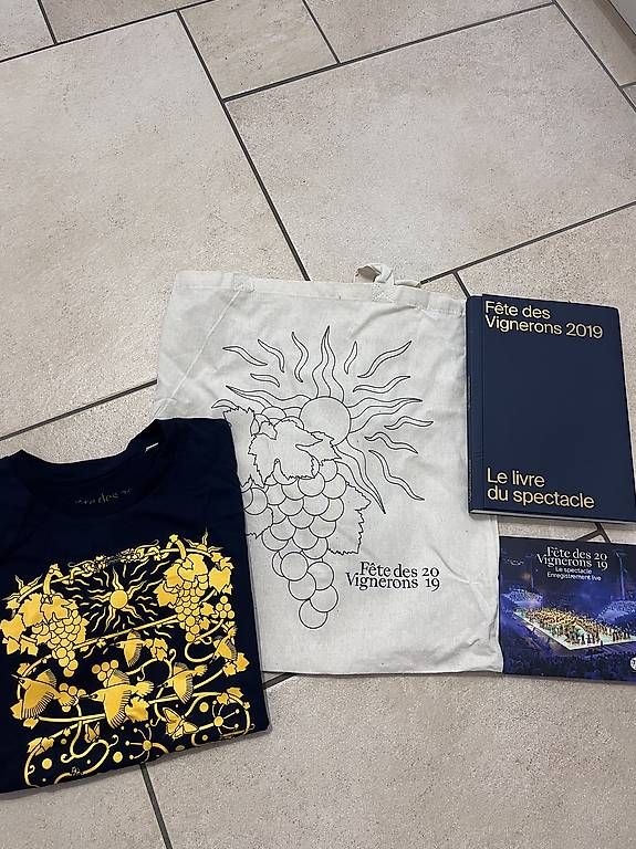 Zaini: Set Fête des Vignerons 2019 – Usato da Yverdon-les-Bains venduto da car_xd5s