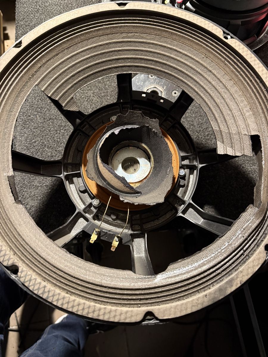 Electro-voice Lautsprecher: Ev Lautsprecher Proline, Defekt – Defekt aus Nebikon von Electrovoice10