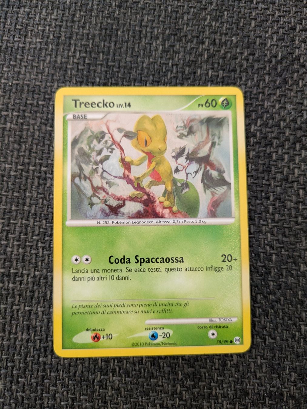 Pokémon Carte collezionabili: TREECKO LV.14, ARCEUS, AR78, COM, 2010, ITA, GD – Usato da Losone venduto da AlpineLayer