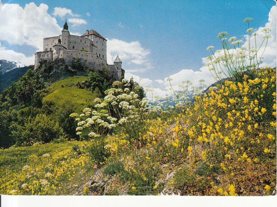 Cartoline postali: Tarasp 1976 – Usato da Bürglen TG venduto da StampGraf