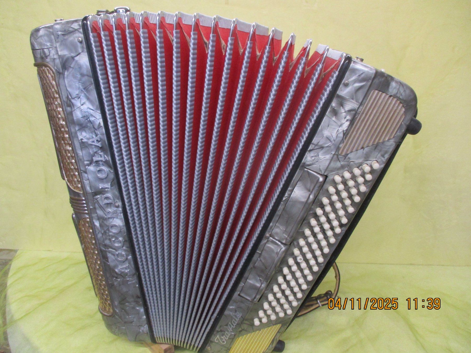 Strumenti musicali: Akkordeon Accordiola Camerano – Usato da Jegenstorf venduto da Oktavio 3