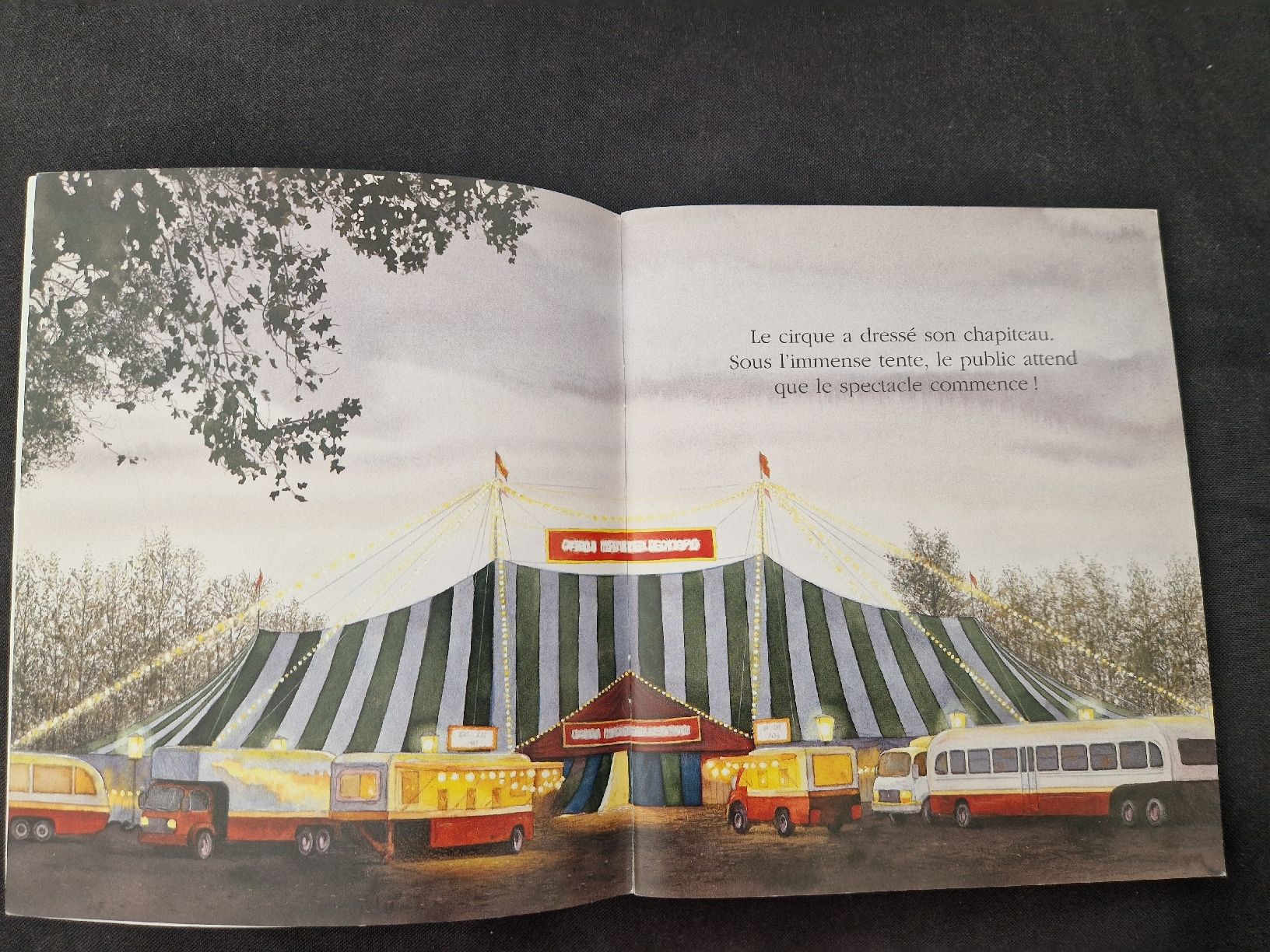 Bücher: Cache-cache avec Le cirque – Neu (gemäss Beschreibung) aus Villars-sur-Glâne von Agnie80 2