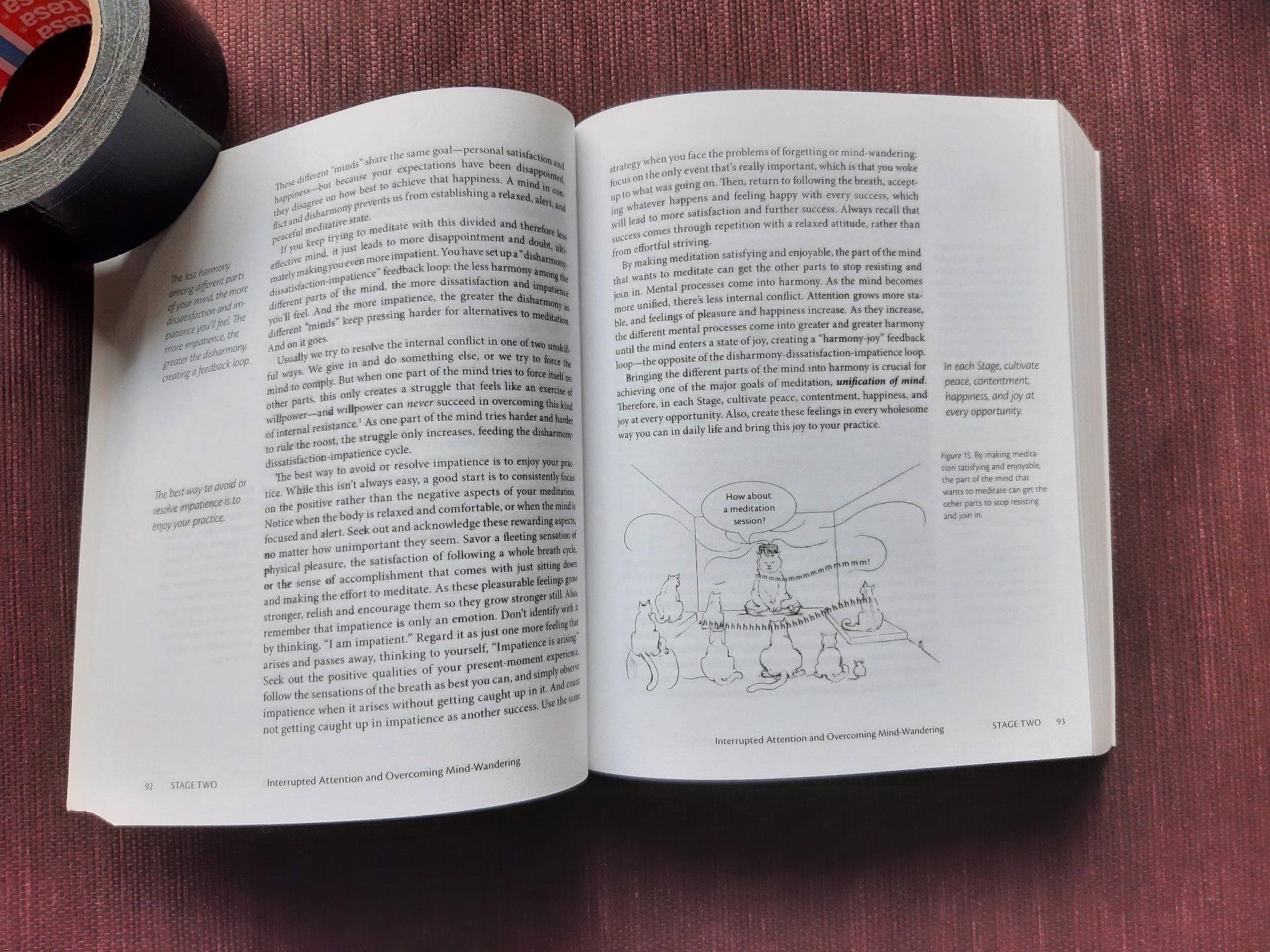 Livres: The Mind Illuminated - John Yates PhD – D'occasion à Fribourg par metalhands 3