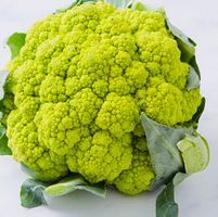 Ab 5.-fr 10 Samen Grüner Blumenkohl Chou-Fleur vert MACERATA