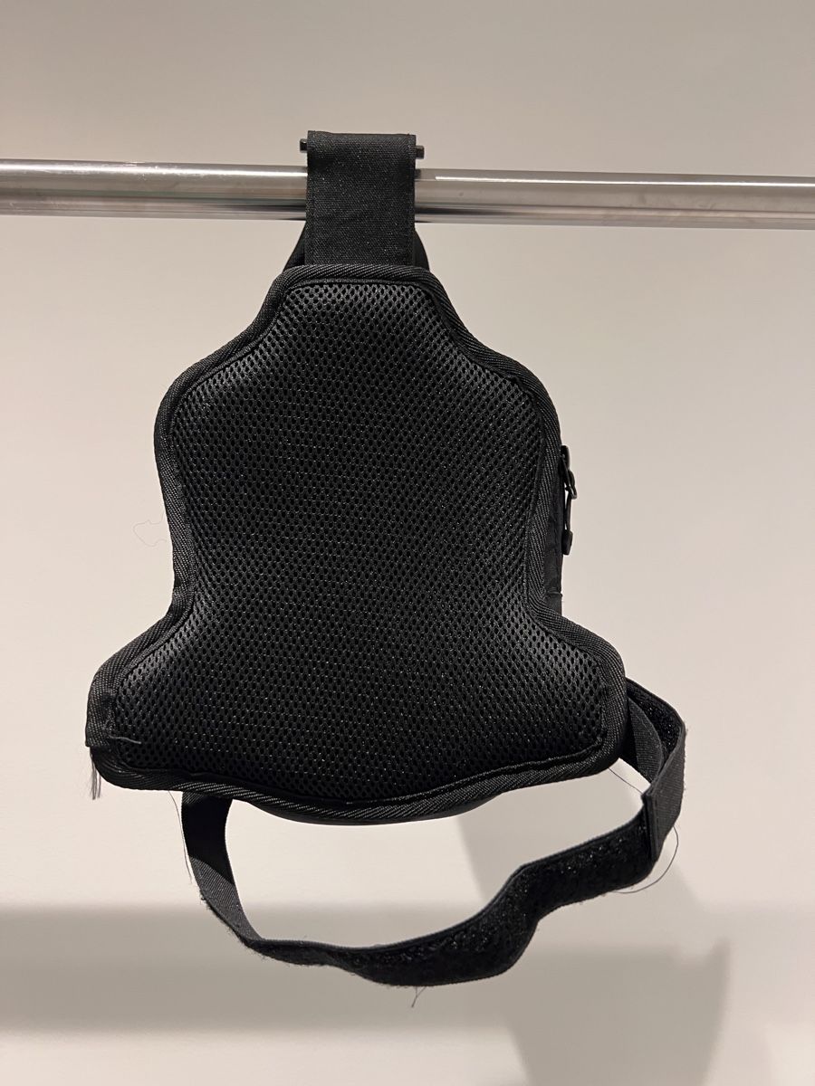 Borse: Alpinestars Hüfttasche, neuwertig – Nuovo (secondo la descrizione) da Muttenz venduto da ahm_r8g9 1