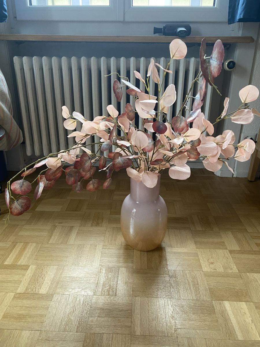 Tutte le decorazioni: Wunderschöne rosa Vase mit Farbverlauf und Dekoblumen – Nuovo (secondo la descrizione) da Zürich venduto da SarKa45