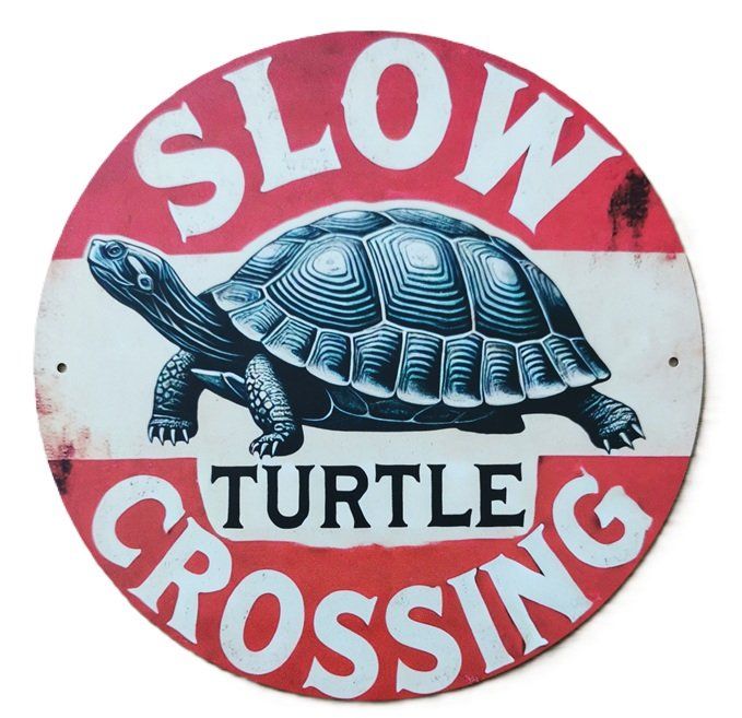 Ecriteaux: Turtle crossing - Blechschild  (neu/OVP) – Neuf avec emballage d'origine à Wilen b. Wollerau par morethanmusic