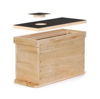 Bienen Ableger Kasten