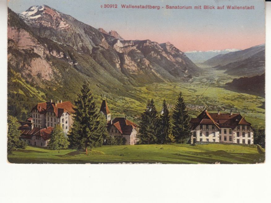 Cartoline postali: Wallenstadtberg 1919 – Usato da Bürglen TG venduto da StampGraf