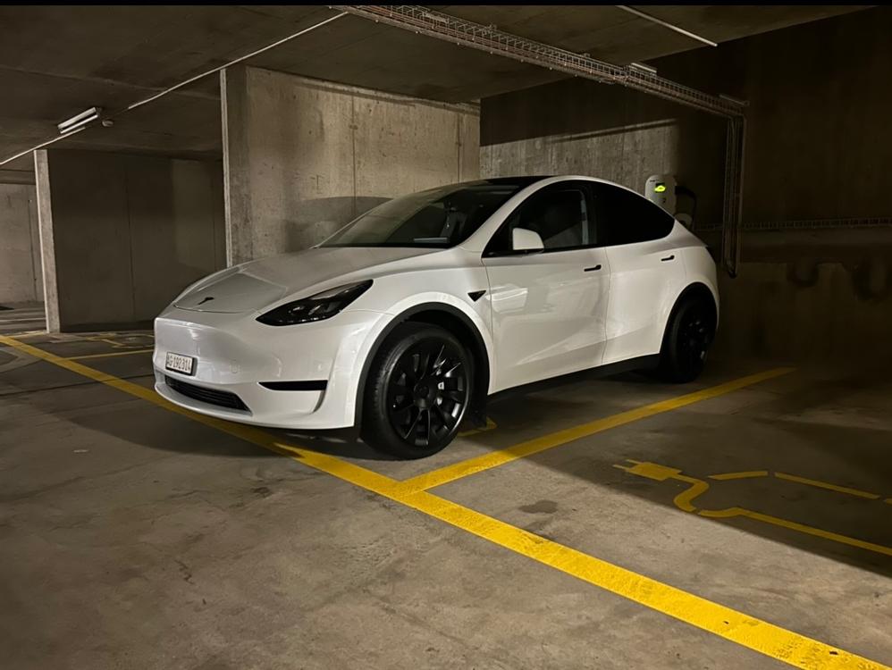 Tesla Model Y RWD